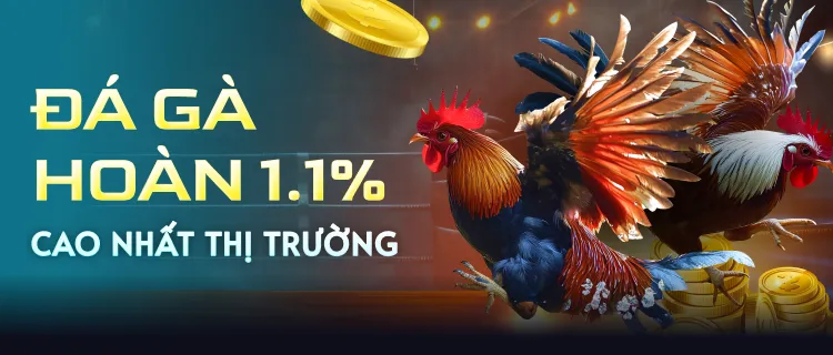 Hoàn trả đá gà 1.1% GA88