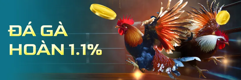 Chơi Đá Gà, Nhận Hoàn Trả 1.1% GA88