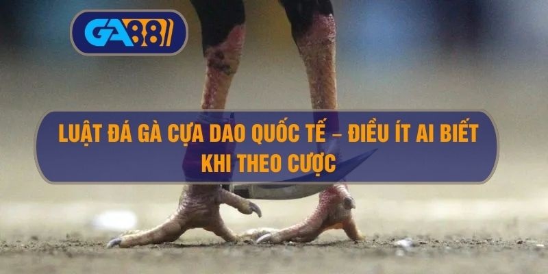 Luật đá gà cựa dao quốc tế – Điều ít ai biết khi theo cược GA88