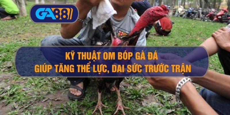 Kỹ thuật om bóp gà đá giúp tăng thể lực, dai sức trước trận GA88