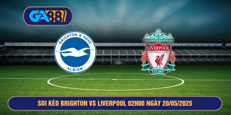 Soi kèo Premier League Brighton vs Liverpool 02h00 ngày 20/05/2025 GA88